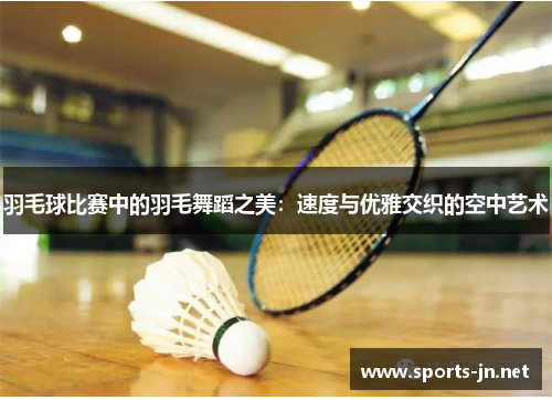 羽毛球比赛中的羽毛舞蹈之美：速度与优雅交织的空中艺术